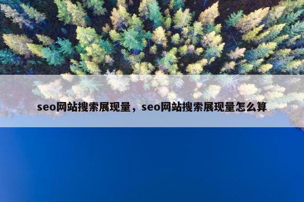 seo网站搜索展现量，seo网站搜索展现量怎么算
