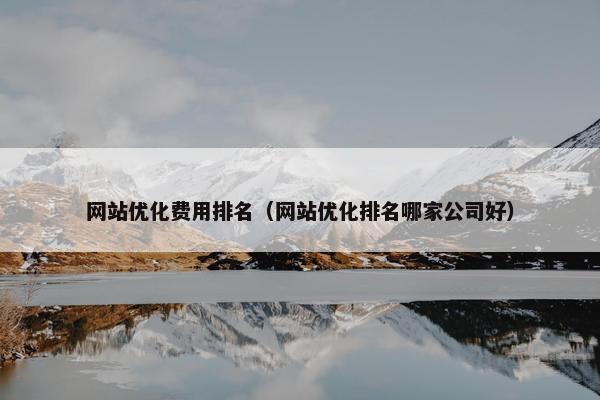 网站优化费用排名（网站优化排名哪家公司好）