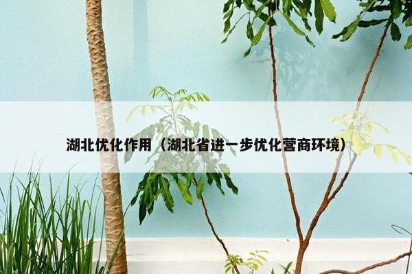 湖北优化作用（湖北省进一步优化营商环境）