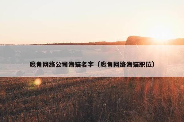 鹰角网络公司海猫名字（鹰角网络海猫职位）