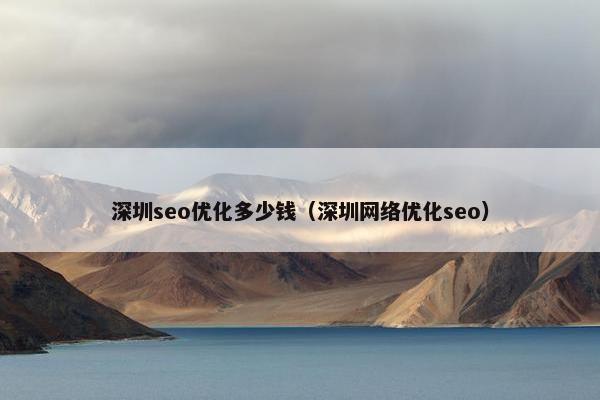 深圳seo优化多少钱（深圳网络优化seo）
