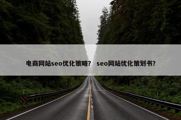 电商网站seo优化策略？ seo网站优化策划书？