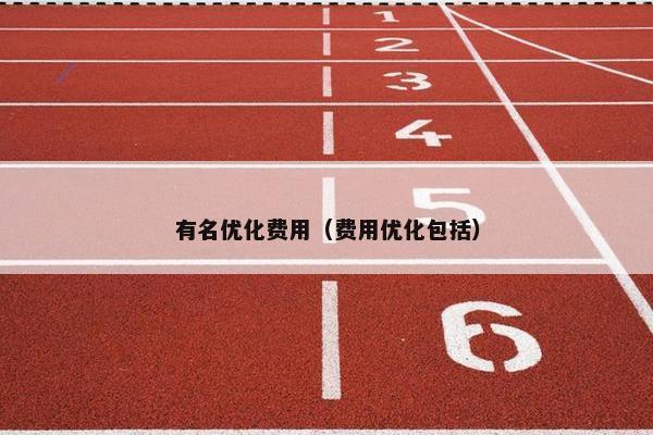 有名优化费用（费用优化包括）