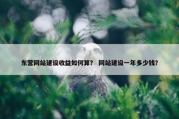 东营网站建设收益如何算？ 网站建设一年多少钱？