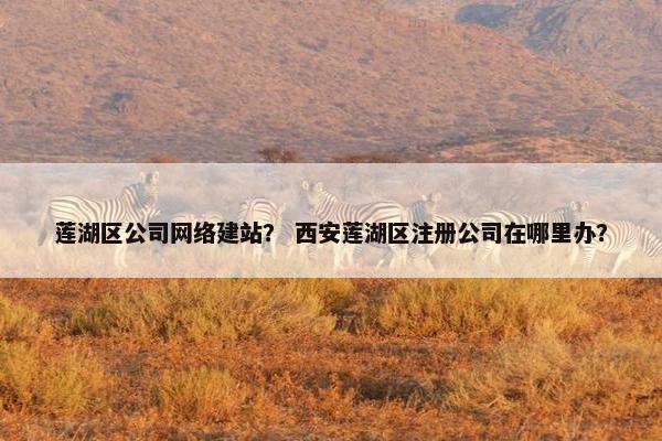 莲湖区公司网络建站？ 西安莲湖区注册公司在哪里办？