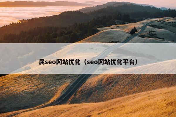 属seo网站优化（seo网站优化平台）