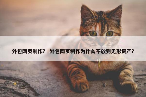 外包网页制作？ 外包网页制作为什么不放到无形资产？
