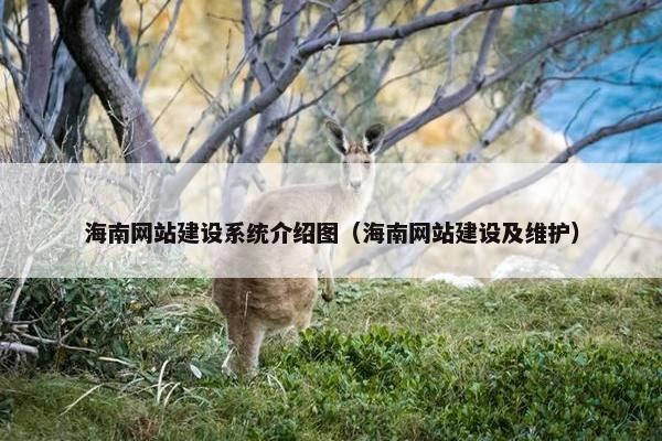 海南网站建设系统介绍图（海南网站建设及维护）