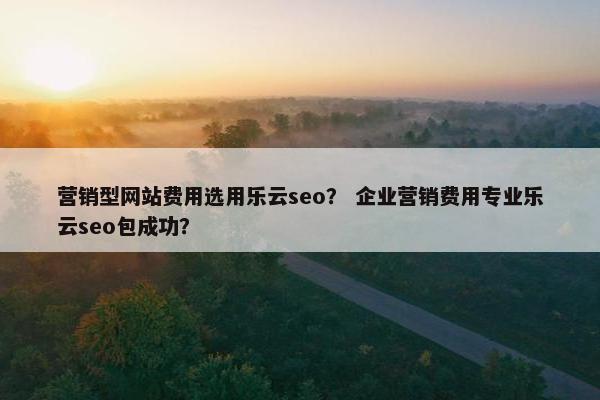 营销型网站费用选用乐云seo？ 企业营销费用专业乐云seo包成功？