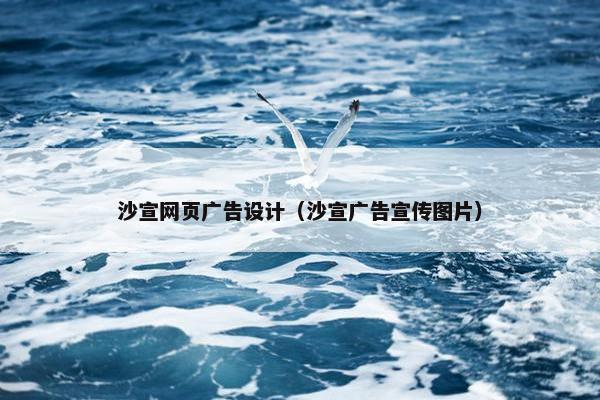 沙宣网页广告设计（沙宣广告宣传图片）