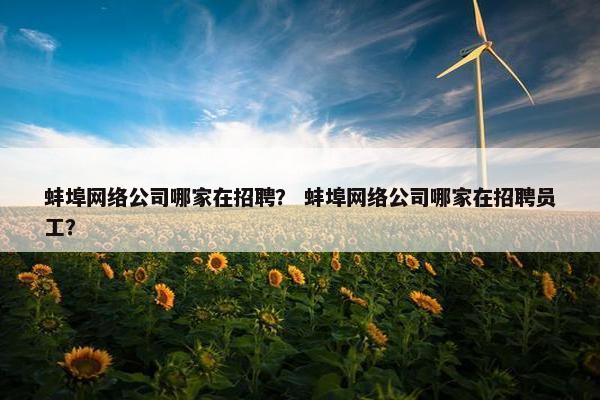 蚌埠网络公司哪家在招聘？ 蚌埠网络公司哪家在招聘员工？