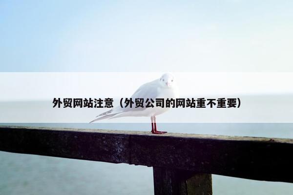 外贸网站注意（外贸公司的网站重不重要）