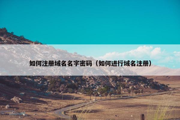 如何注册域名名字密码（如何进行域名注册）