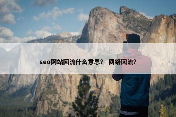 seo网站回流什么意思？ 网络回流？