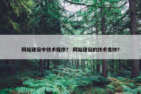 网站建设中技术程序？ 网站建设的技术支持？