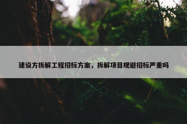 建设方拆解工程招标方案，拆解项目规避招标严重吗