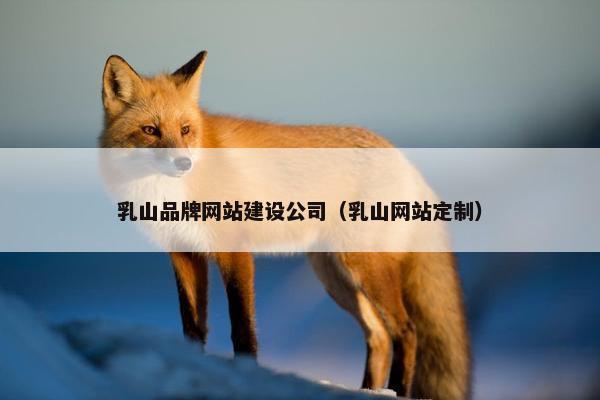 乳山品牌网站建设公司（乳山网站定制）