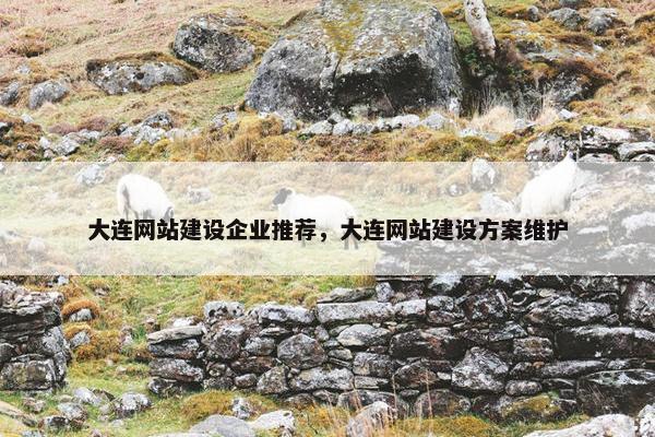 大连网站建设企业推荐，大连网站建设方案维护