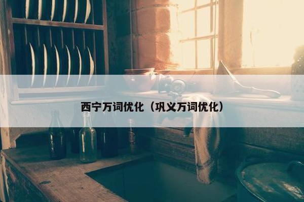 西宁万词优化（巩义万词优化）