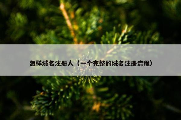 怎样域名注册人（一个完整的域名注册流程）
