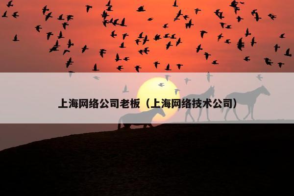 上海网络公司老板（上海网络技术公司）