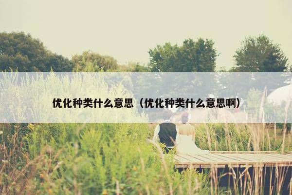 优化种类什么意思（优化种类什么意思啊）