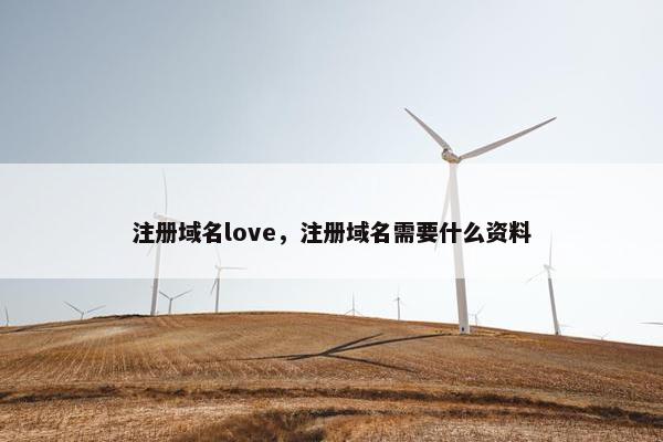 注册域名love，注册域名需要什么资料