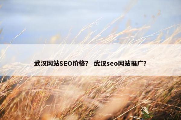 武汉网站SEO价格？ 武汉seo网站推广？