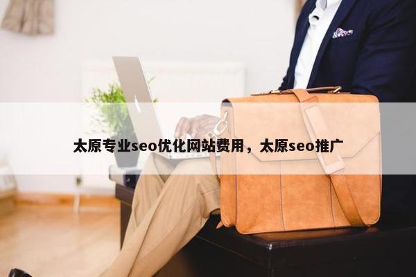 太原专业seo优化网站费用，太原seo推广