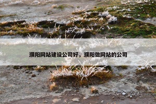 濮阳网站建设公司好，濮阳做网站的公司
