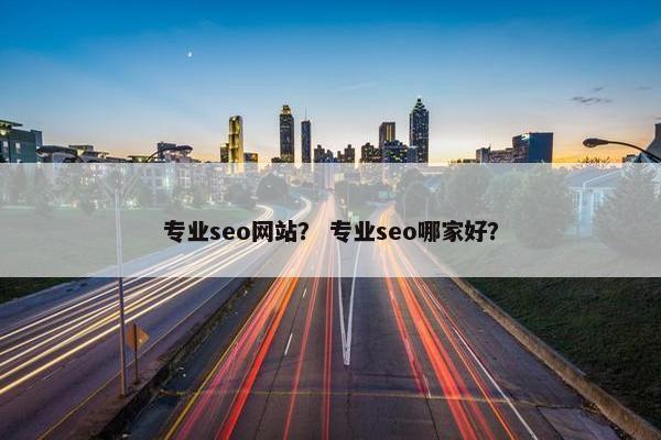 专业seo网站？ 专业seo哪家好？
