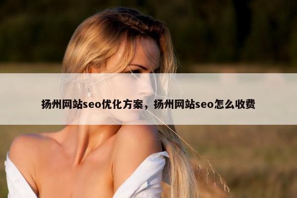 扬州网站seo优化方案，扬州网站seo怎么收费