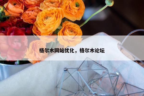 格尔木网站优化，格尔木论坛