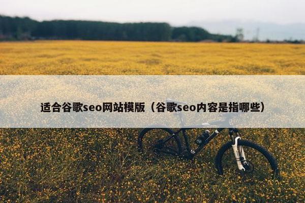 适合谷歌seo网站模版（谷歌seo内容是指哪些）