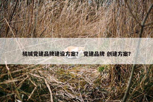 橘城党建品牌建设方案？ 党建品牌 创建方案？