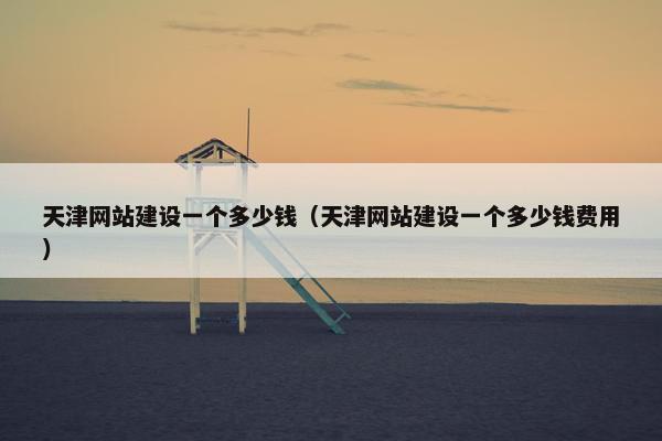 天津网站建设一个多少钱（天津网站建设一个多少钱费用）