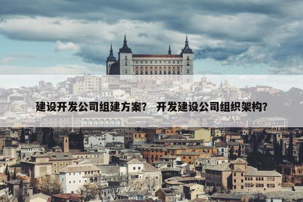 建设开发公司组建方案？ 开发建设公司组织架构？