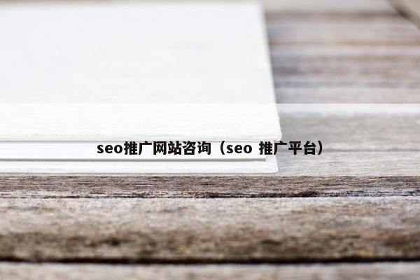 seo推广网站咨询（seo 推广平台）