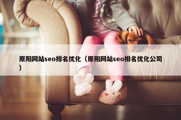 原阳网站seo排名优化（原阳网站seo排名优化公司）