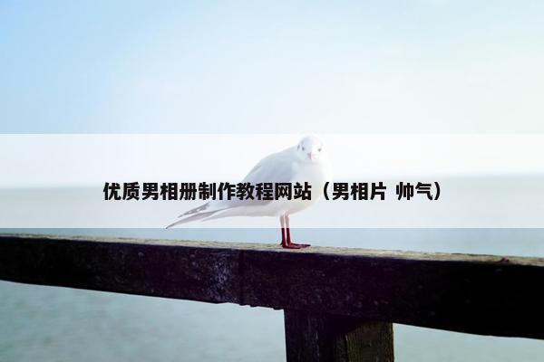 优质男相册制作教程网站（男相片 帅气）
