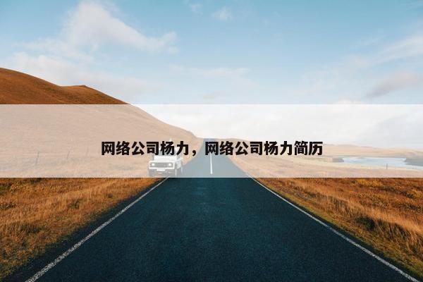 网络公司杨力，网络公司杨力简历