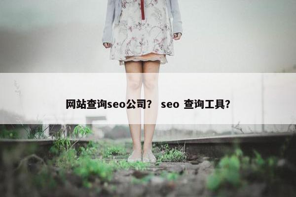 网站查询seo公司？ seo 查询工具？