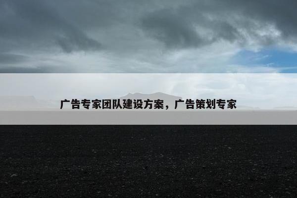广告专家团队建设方案，广告策划专家