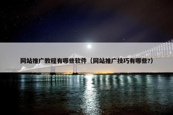 网站推广教程有哪些软件（网站推广技巧有哪些?）