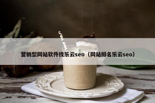 营销型网站软件找乐云seo（网站排名乐云seo）