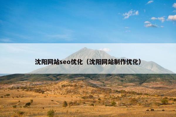 沈阳网站seo优化（沈阳网站制作优化）
