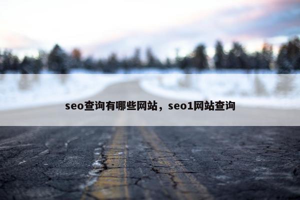 seo查询有哪些网站，seo1网站查询