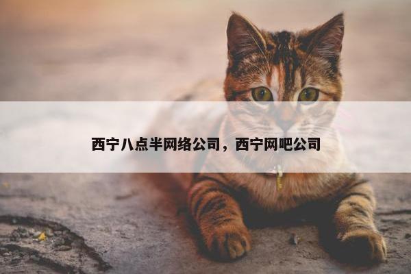 西宁八点半网络公司，西宁网吧公司