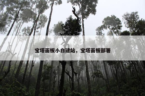 宝塔面板小白建站，宝塔面板部署