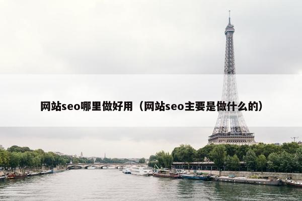 网站seo哪里做好用（网站seo主要是做什么的）